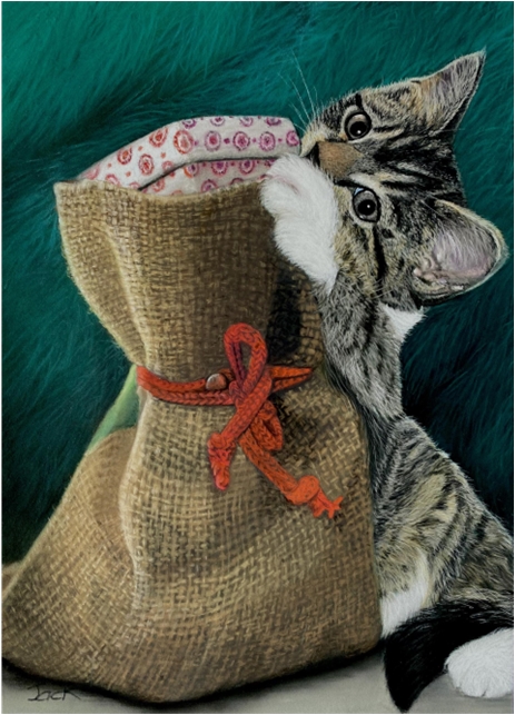 kitten