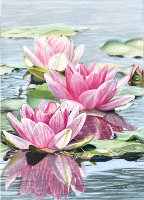water lillies