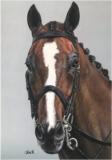 Horse