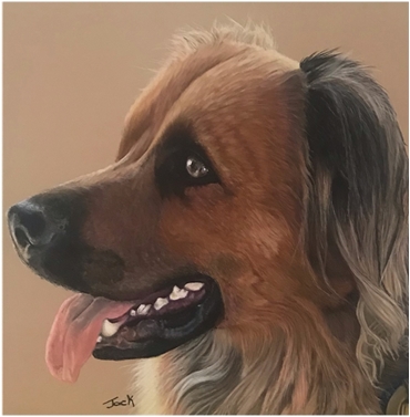 Dog