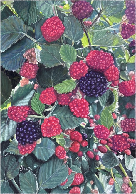 Blackberries