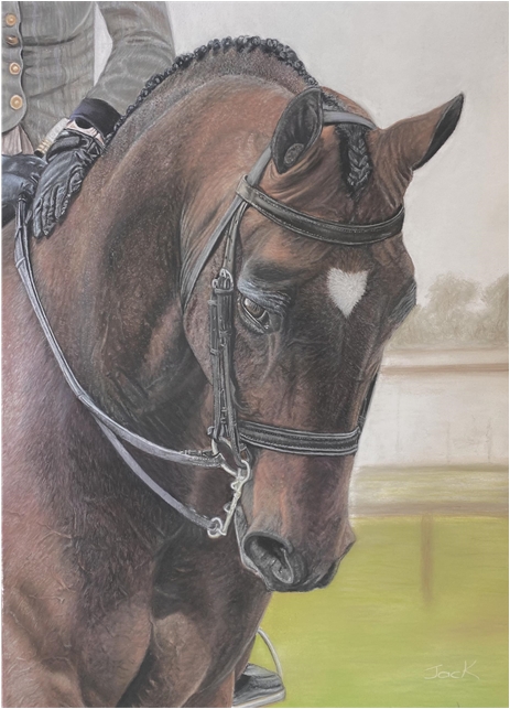 Bay Horse