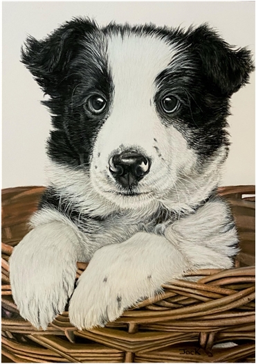 Puppy