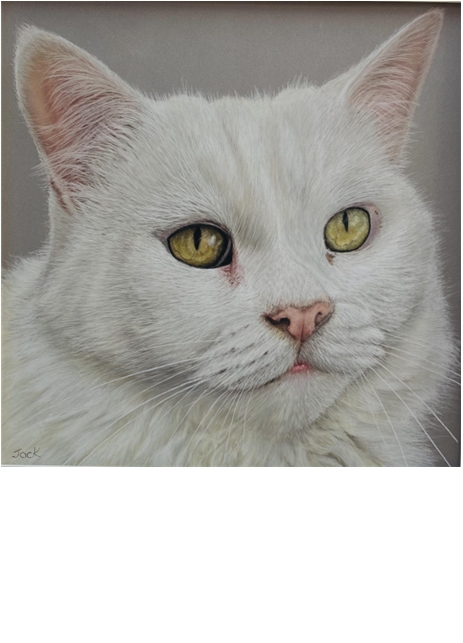 White Cat