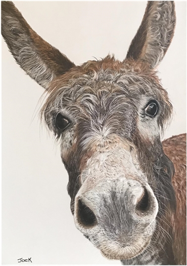 Donkey