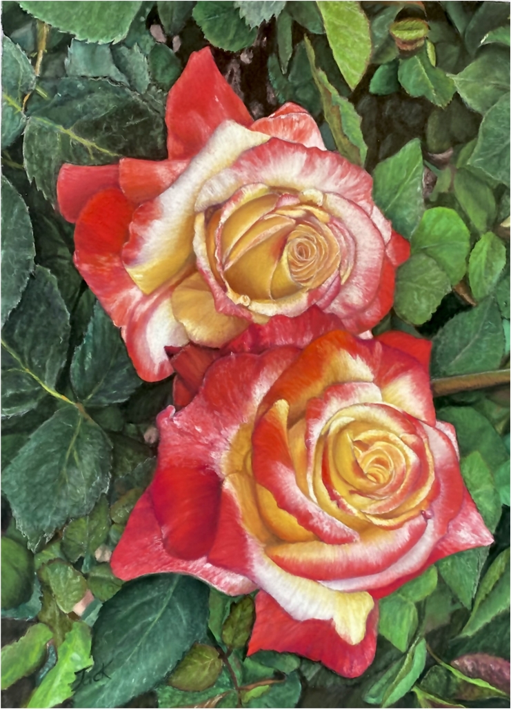 roses