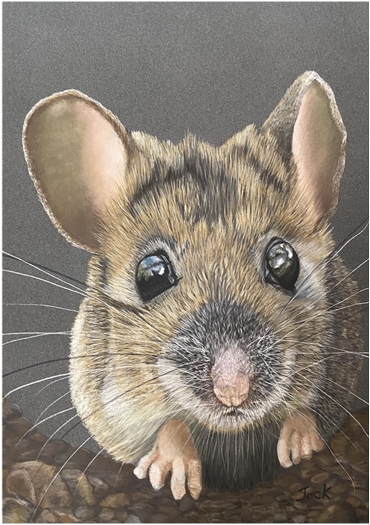 Mouse