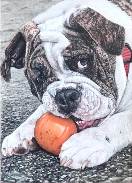 Dog