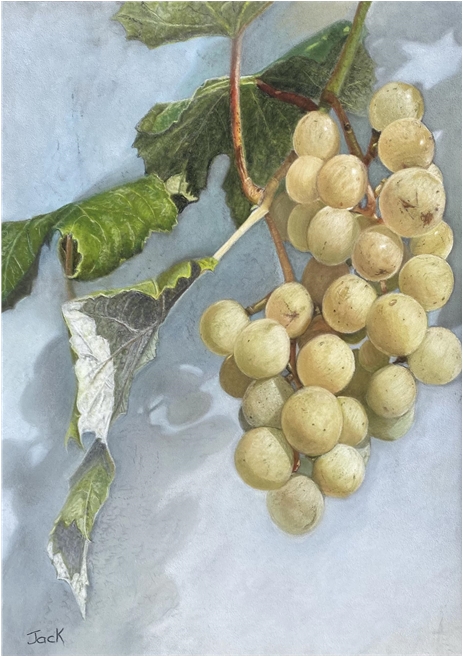 Grapes
