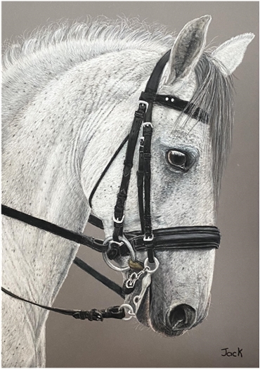 Pony
