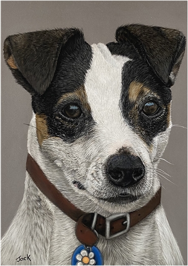Dog