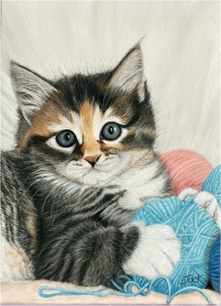 kitten
