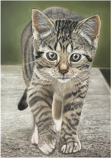 Kitten