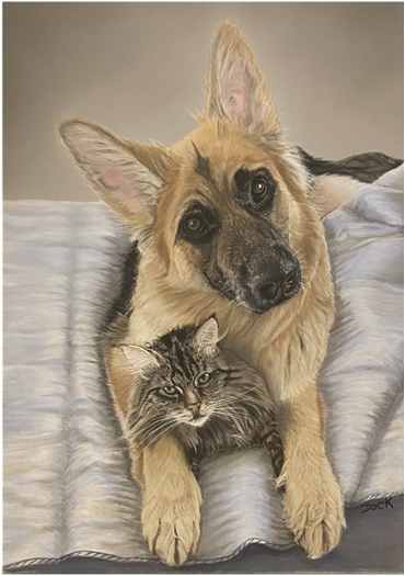 Dog and Cat