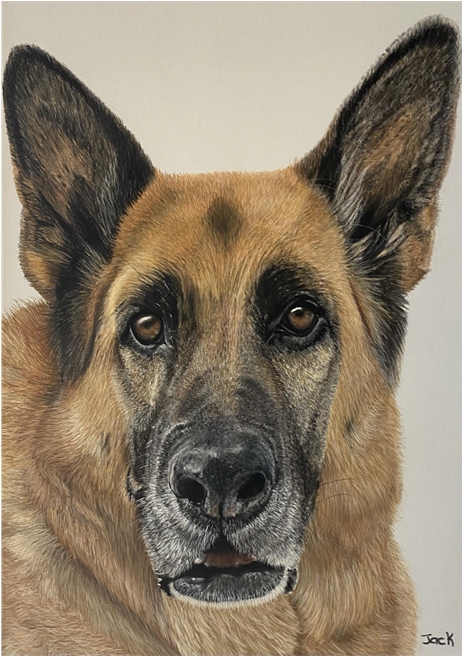 Dog