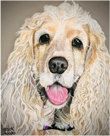 Dog