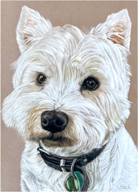 West Highland White Terrier