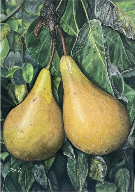 Pears