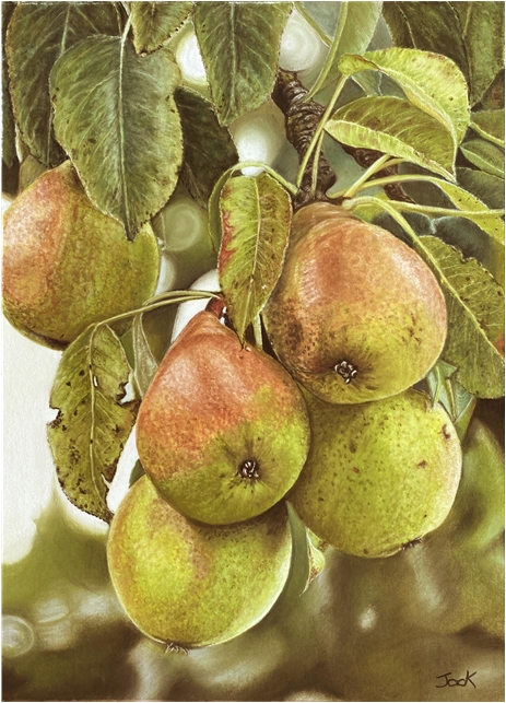 Pears