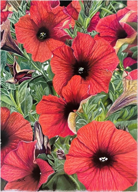 Petunias