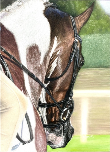 Horse and Rider