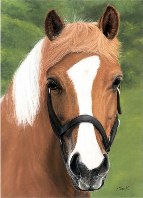 Horse