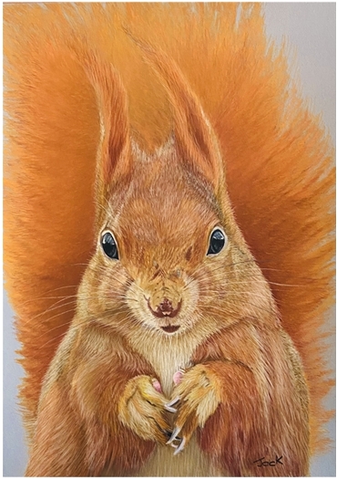 Squirrel