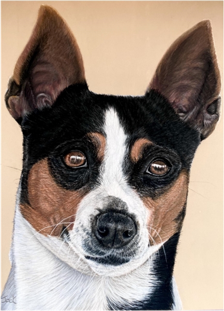 dog