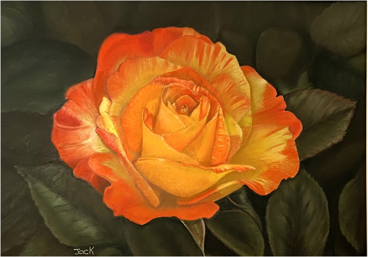 Rose