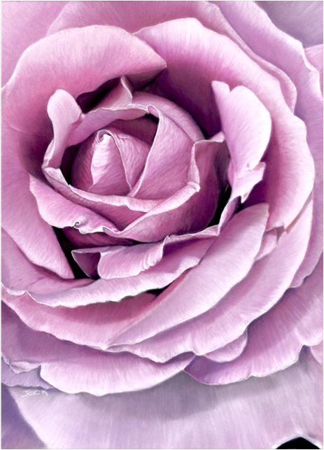 rose